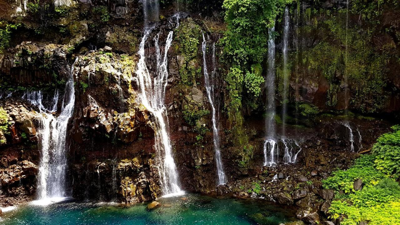 Le Gecko Vert Manapany-les Bains Exteriér fotografie